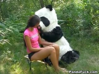 Xxx ταινία σε ο woods με ένα τεράστιος παιχνίδι panda
